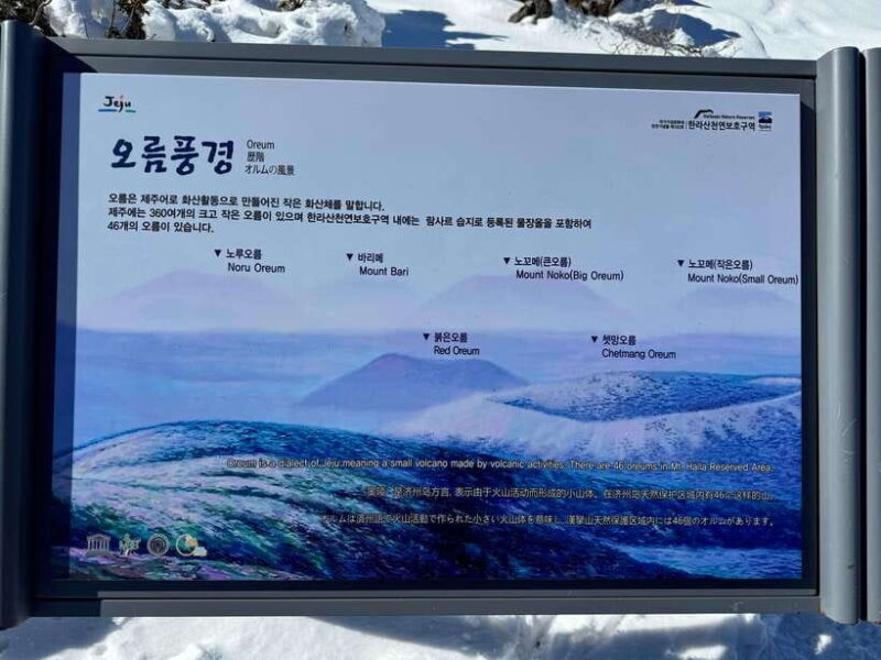 Hike Hallasan on Jeju Island, South Korea's highest mountain - Authentic Experiences Based on Reviews