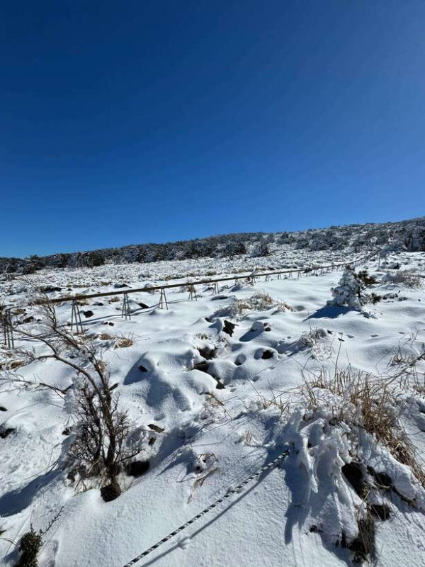 Hike Hallasan on Jeju Island, South Korea's highest mountain - The Sum Up