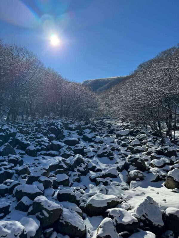 Hike Hallasan on Jeju Island, South Korea's highest mountain - What to Expect on Your Hallasan Adventure