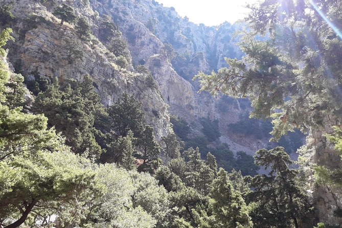 Hike Imbros Gorge and Beach Private Tour (Price per Group of 6) - Overview and Tour Details