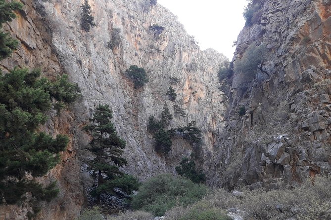 Hike Imbros Gorge and Beach Private Tour (Price per Group of 6) - Meeting and Pickup