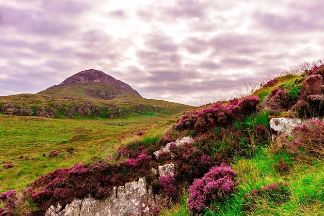 Hike in Connemara National Park. Galway. Private Guided. 3 Hours. - What To Expect
