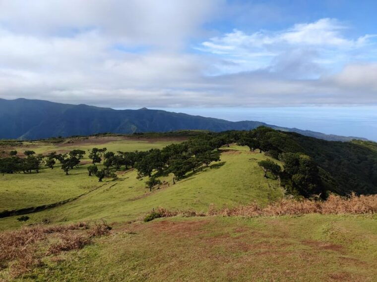 Hike in Fanal in a different way - The Itinerary in Detail