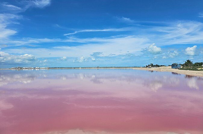 Hike in Las Coloradas and Boat Tour of Río Lagartos - Final Thoughts