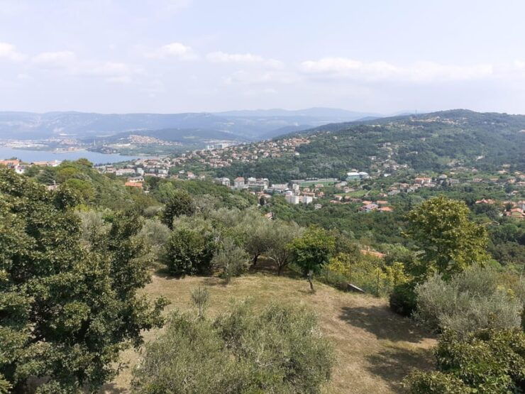 Hike in Muggia - Good To Know