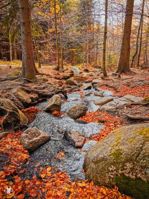 Hike in Polish Mountains: Day Trip to Rudawy Janowickie - Activity Details