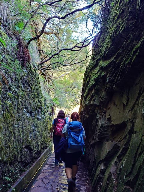 Hike in Rabaçal in a different way - Practical tips for the hike