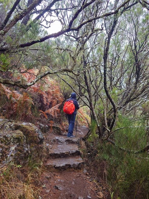 Hike in Rabaçal in a different way - Who is this tour best suited for?