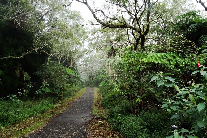 Hike in the Forest of Bélouve. - Parking Details