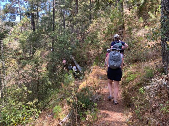 Hike in the Sierra Norte, Cuajimoloyas - Community and Culture