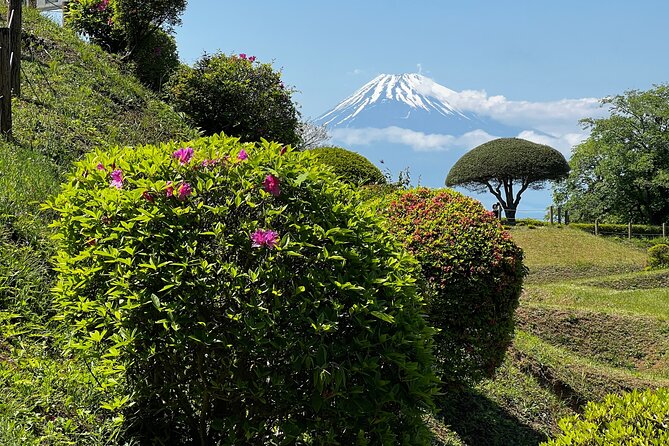 Hike Japan Heritage Hakone Hachiri With Certified Mountain Guide - Get Assistance From Viators Customer Support