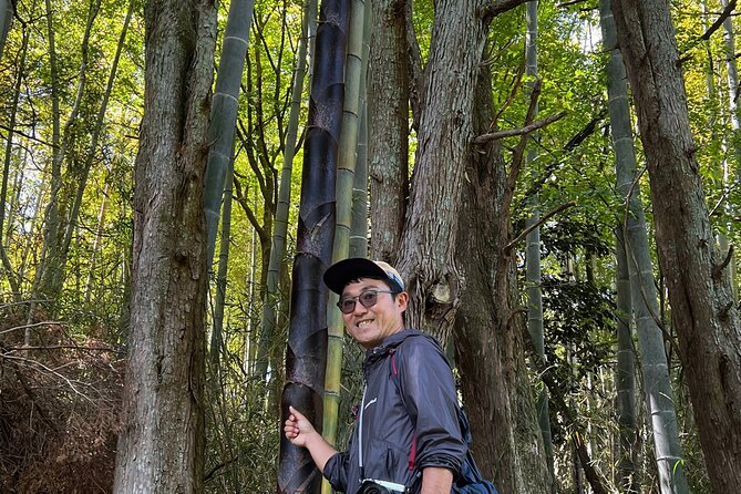 Hike Japan Heritage Hakone Hachiri With Certified Mountain Guide - Familiarize Yourself With the Terms and Conditions