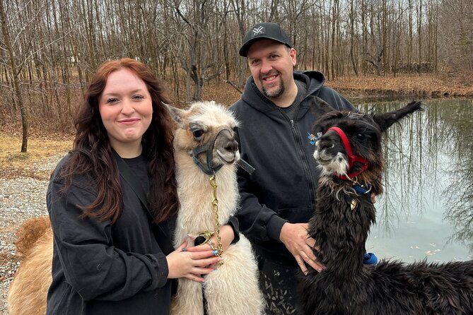 Hike & Lunch with Llamas - A practical look at the Hike & Lunch with Llamas experience in New Brunswick