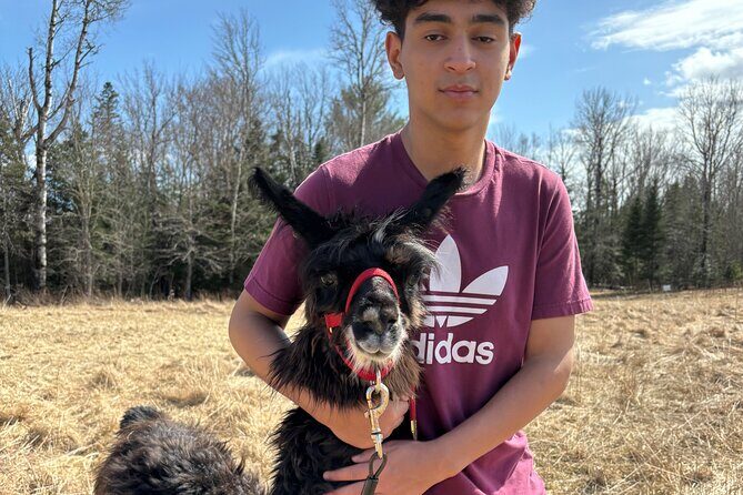 Hike & Lunch with Llamas - Good To Know