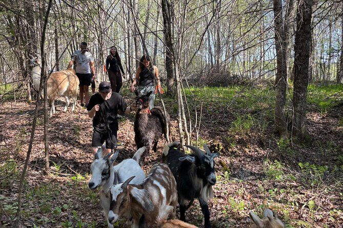 Hike & Lunch with Llamas - Frequently Asked Questions