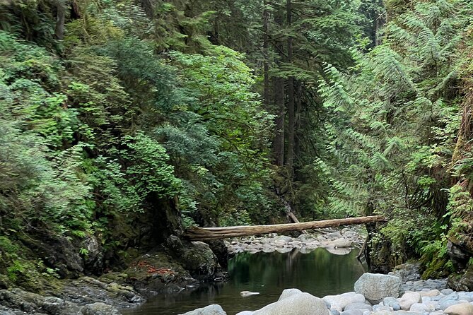 Hike Lynn Canyon and Bike Seymour Demonstration Forest - The Sum Up