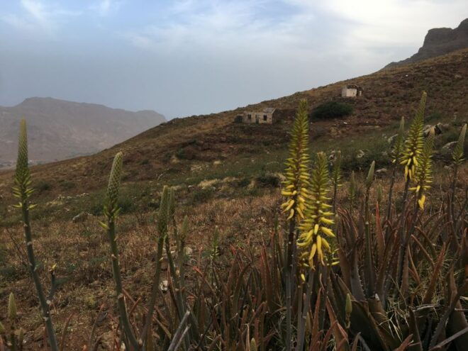 Hike Monte Verde - Tour Highlights