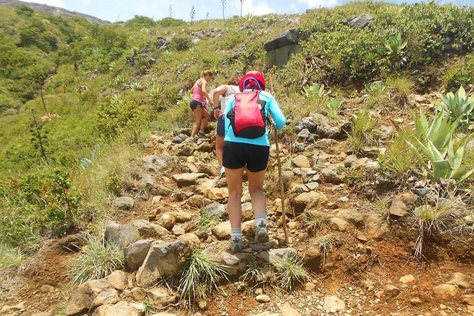 Hike Santa Ana Volcano With a Sulphur Lake Inside the Crater and Coatepeque Lake - Trekking up Santa Ana Volcano