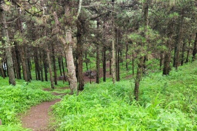 Hike Serra Malagueta / Silver Beach - Important Information