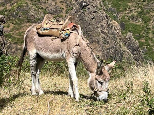 Hike Serra Malagueta / Silver Beach - Frequently Asked Questions