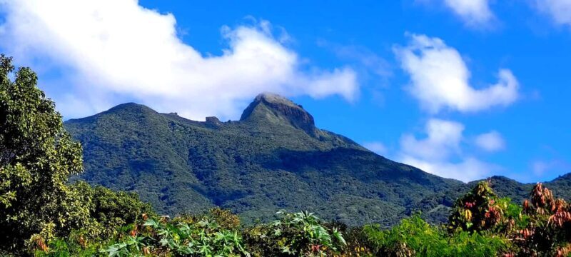 Hike St. Kitts: Highest peak Mount Liamuiga Volcano - Climbing Higher: Reaching the Summit