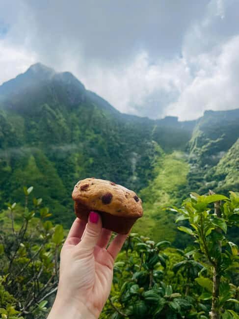 Hike St. Kitts: Highest peak Mount Liamuiga Volcano - Practical Details: What to Expect and How to Prepare
