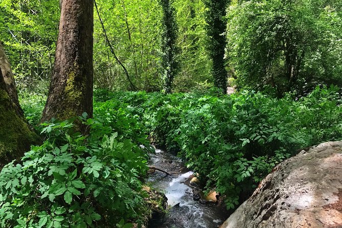 Hike St Lichaa Monastery to Qannoubine Monastery - Qadisha Valley - What To Expect