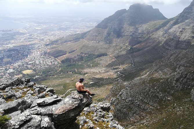 Hike Table Mountain or Lions Head in Cape Town Like a Local - Learn About Local Flora and Fauna