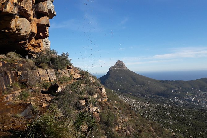 Hike Table Mountain Sunrise via Platteklip Gorge Morning Tour - Traveler Photos