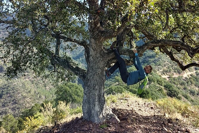 Hike the Cork Oak Trail and Try Some Delicious Cheese - Tour Details