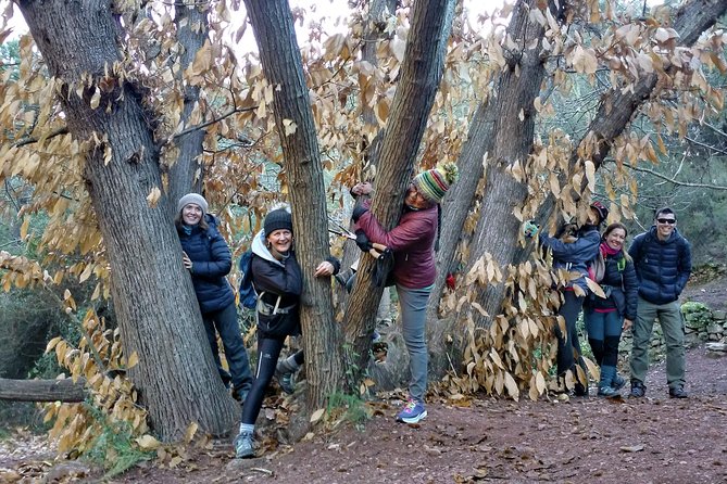 Hike the Cork Oak Trail and Try Some Delicious Cheese - Customer Reviews