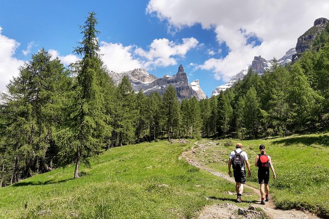 Hike the Dolomites - One Day Private Excursion From Bolzano - Positive Reviews, Pricing, and Additional Information