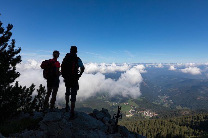 Hike the Dolomites - One Day Private Excursion From Bolzano - The Sum Up