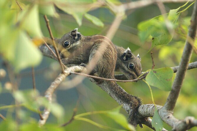 Hike the Heart of Cat Ba National Park Trekking, Biking, Kayaking - Good To Know