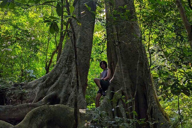 Hike the Heart of Cat Ba National Park Trekking, Biking, Kayaking - What to Expect from the Tour