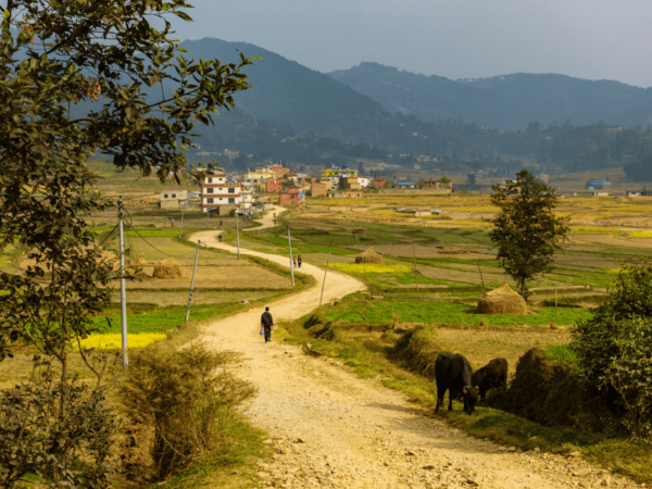 Hike the Historic Route: Namobuddha to Panauti Day Hike - Questions You May Have