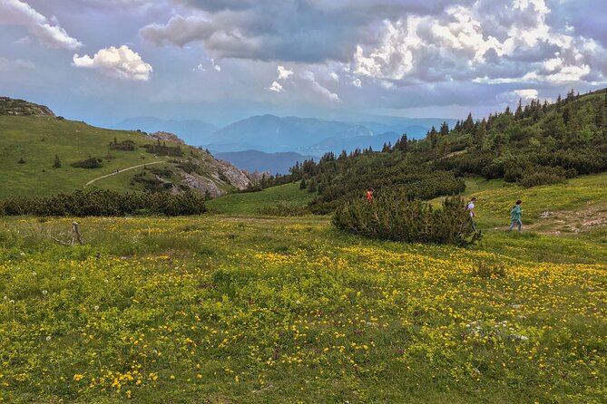 Hike the Viennese Alps Like Freud - Booking and Travel Tips