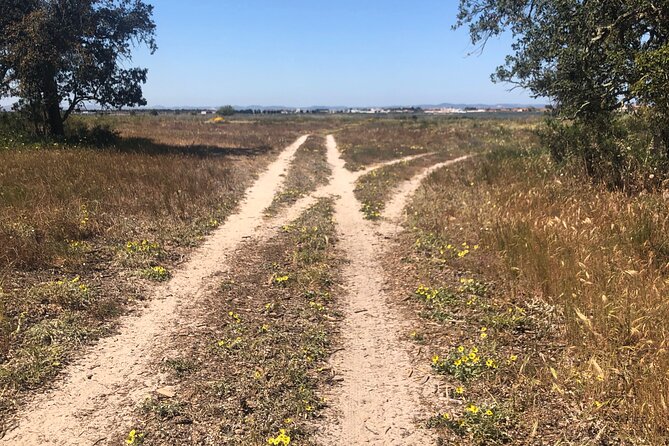 Hike Through an Authentic Fishing Village in the Setubal Region - Directions and Tips