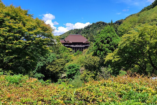 Hike Through Kyotos Best Tourist Spots - Stunning Natural Landscapes