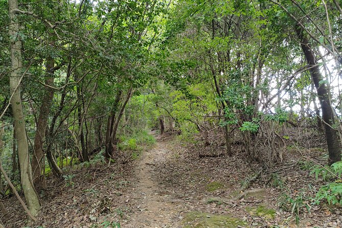 Hike Through Kyotos Best Tourist Spots - Unique Shopping and Dining Experiences