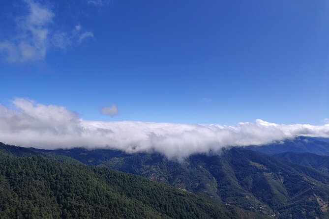 Hike Through the Forest of the Sierra Norte De Oaxaca - Questions
