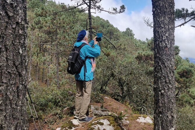 Hike Through the Forest of the Sierra Norte De Oaxaca - Directions