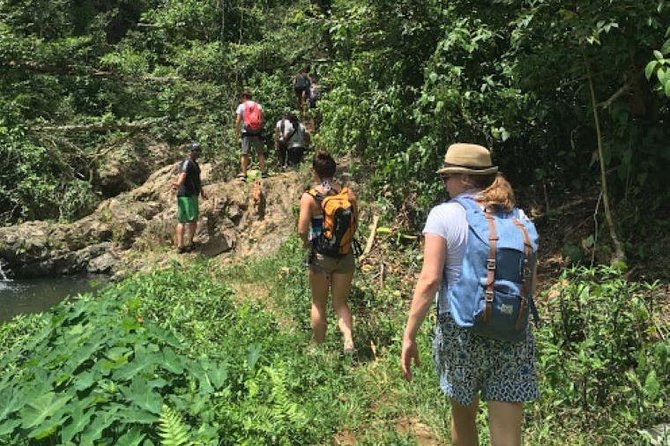 Hike to a Hidden Puerto Rican Waterfall Adventure - Memorable Experiences and Recommendations