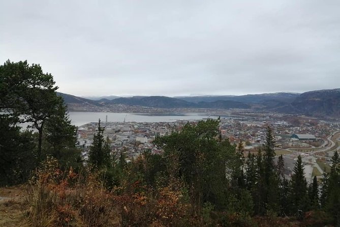 Hike to "Appelsinhaugen" ("Orange Hill") - Inclusions