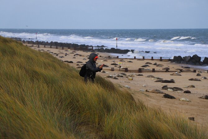 Hike to Atlantic Grey Seal Pups – Best Time to Visit - Natural Habitat