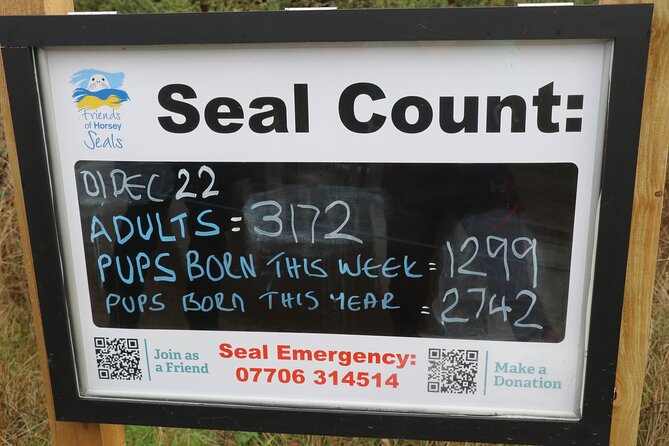 Hike to Atlantic Grey Seal Pups – Best Time to Visit - Best Time to Plan Your Visit