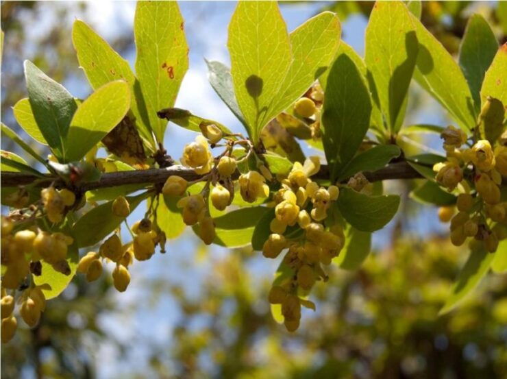 Hike to Champadevi - Required Gear and Attire