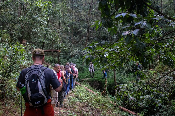 Hike to Changu Narayan - Trail Overview