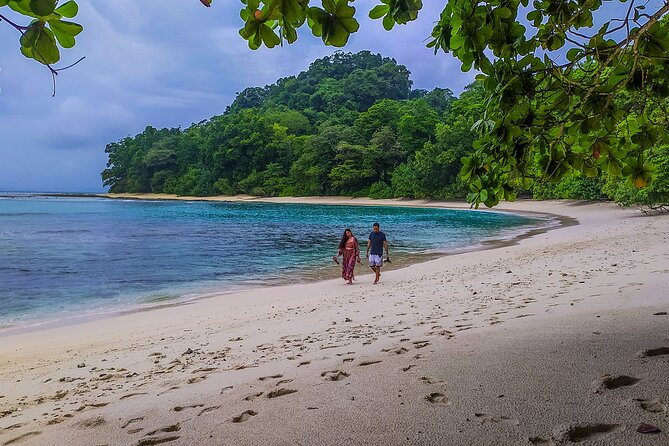 Hike to Elephant Beach Exploring Tropical Flora and Fauna - Flora and Fauna Highlights