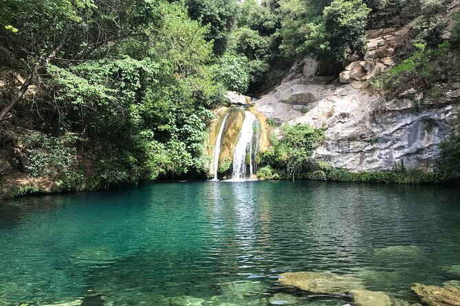 Hike to Secret Waterfalls of the Pyrenees Mountains, From Barcelona & Girona - Tour Overview and Details